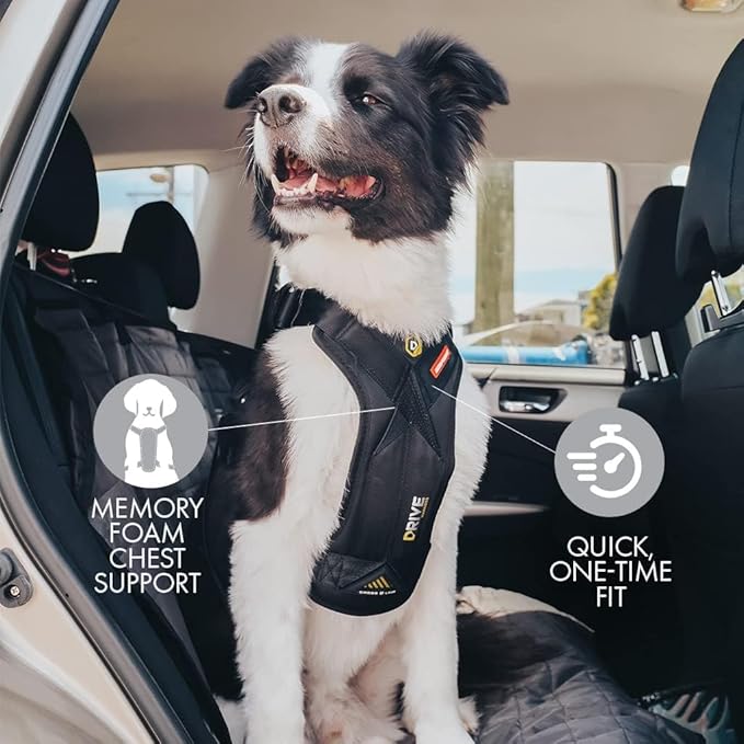 EzyDog Drive Safety Travel Dog Car Harness - Crash Tested US (FMVSS 213) - Premium Vehicle Restraint Vest for Protection and Comfort - Easy One Time Fit and Use with Car Seat Belt (Medium) Black