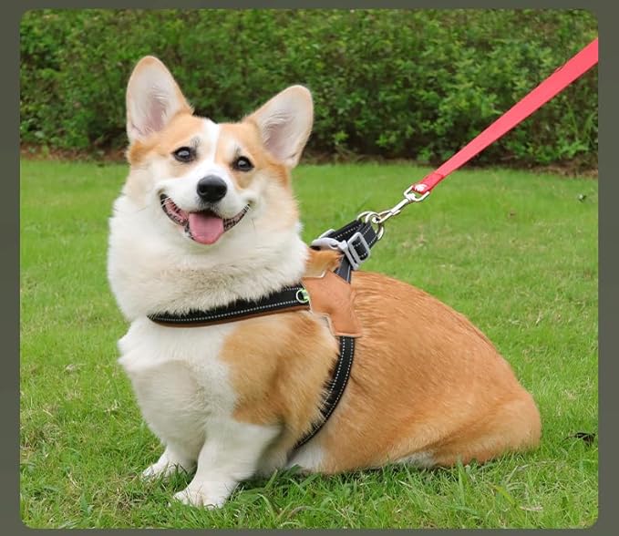 Dog Harness Y-Shaped Harness Breathable Heat Dissipation Easy to Wear Night Reflective Signs for Small and Large Dogs to Wear (Dark Black,S Bust 13in-18in)