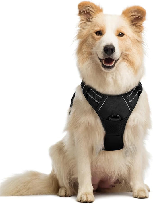 rabbitgoo Dog Harness, No-Pull Pet Harness with 2 Leash Clips, Adjustable Soft Padded Dog Vest, Reflective No-Choke Pet Oxford Vest with Easy Control Handle for Medium Dogs, Black, M
