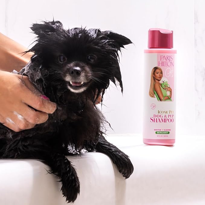 Paris Hilton Dog Shampoo - Fresh Citrus-Infused Bergamot Scent, Sulfate-Free Vegan & Hypoallergenic for All Dog Breeds, with Oatmeal & Aloe for Healthy Coats & Salon-Quality Grooming, 16oz (480ml)