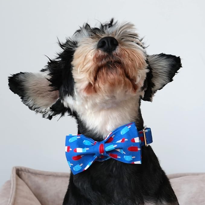 Lionet Paws Patriotic Dog Collar with Bowtie, 4th of July, Soft and Comfortable Adjustable Summer Popsicle Bowtie Collar for Dogs and Cats Male Female Gift, XS, Neck 8-12 inches
