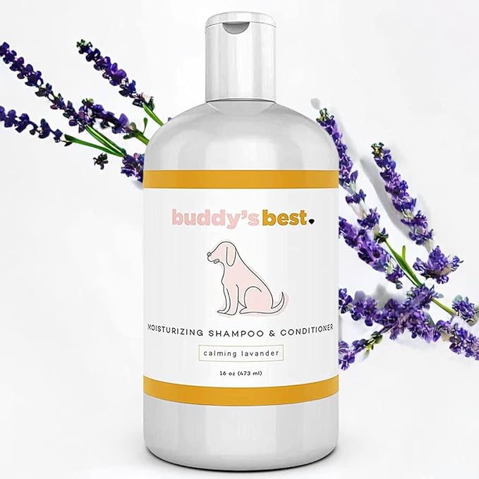 Buddy's Best Dog Shampoo for Smelly Dogs - Skin-Friendly, Oatmeal Dog Shampoo and Conditioner for Dry and Sensitive Skin - Moisturizing Puppy Wash Shampoo, Calming Lavender Scent, 16oz