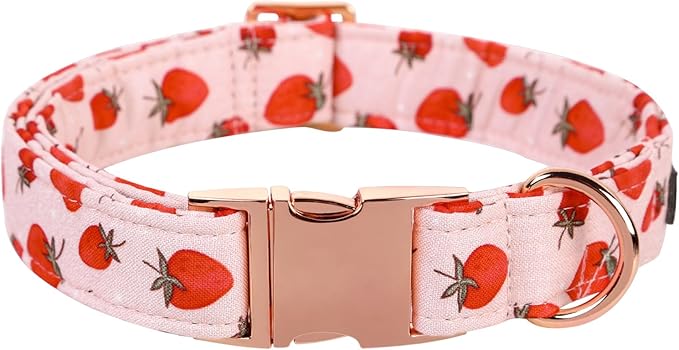 Lionet Paws Dog Collar, Comfortable Adjustable Cute Collar with Metal Buckle for Male Female Dogs Gift, Strawberry Pattern, Large, Neck 16-24 inches