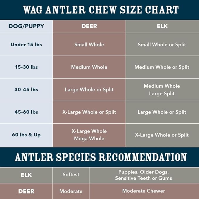 Amazon Brand - Wag Dog Elk Antler Chew, Naturally Shed, Whole, Large 8-9.5 inches (Best for Dogs 30-45 lbs), 3.60 Ounce (Pack of 4)