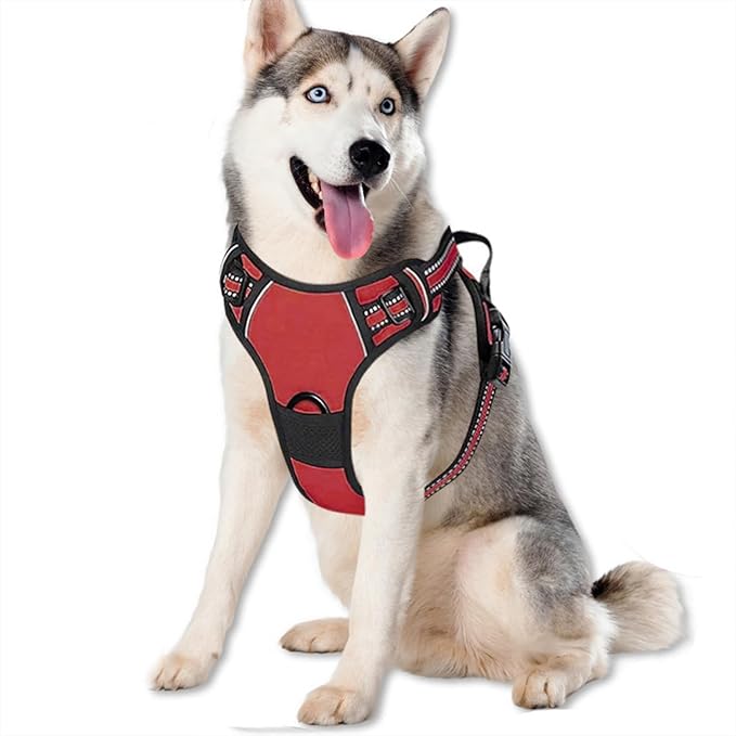 Dog Harness,Adjustable Soft Padded Dog Vest with 2 Leash Clips,No-Pull Pet Harness with 2 Snap Buckles,Reflective No-Choke Pet Oxford Vest for Small Medium Large Dogs (Red, L)
