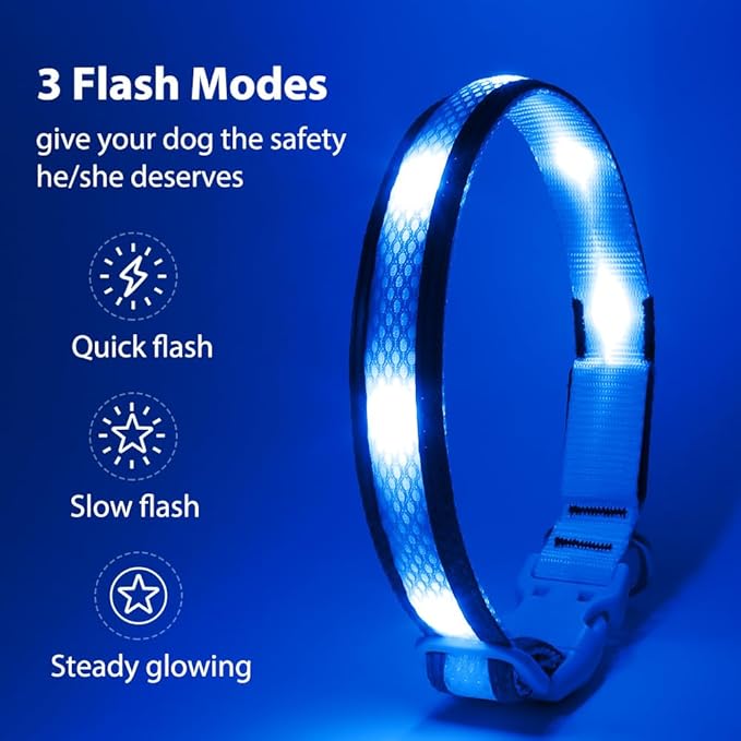 BSEEN Light Up Dog Collar - LED Dog Collar Rechargeable, Adjustable Reflective Dog Collar, Glow in The Dark Dog Camping Gear Dog Lights for Night Walking (Large Collar, Royal Blue)