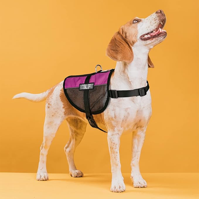 Dogline MaxAire Multi-Purpose Mesh Vest for Dogs and 2 Removable Emotional Support Patches, 30 to 38", Pink