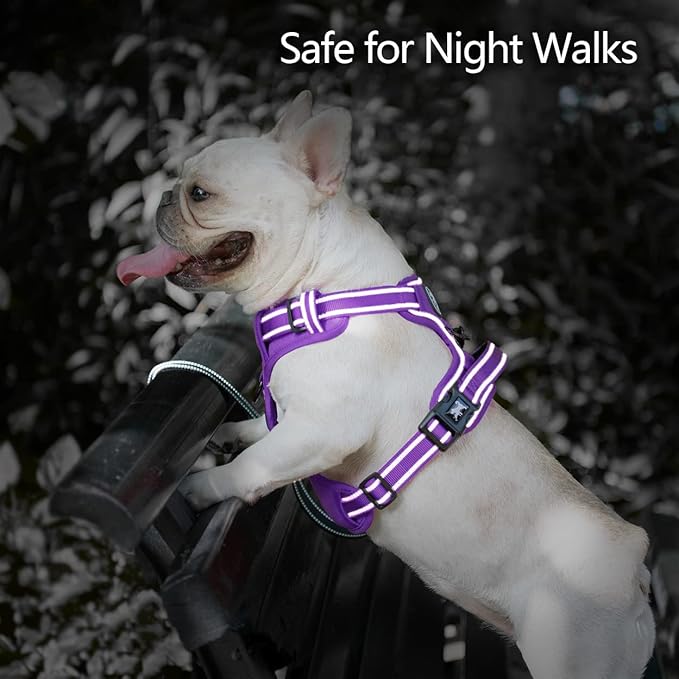 PoyPet No Pull Dog Harness, No Choke Reflective Dog Vest, Adjustable Pet Harnesses with Easy Control Padded Handle for Small Medium Large Dogs(Purple Matching Trim,S)