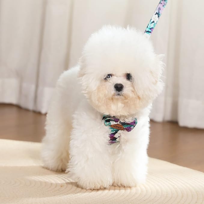 No Pull Small Dog Harness and Leash Set, Soft Adjustable Floral Puppy Dog Harness Vest for Extra Small-Medium Pet Dogs and Cat, Purple Flower, XXSmall