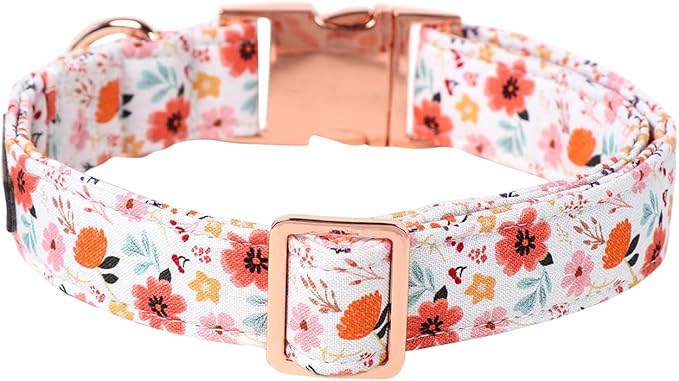 Lionet Paws Dog Collar, Adjustable Cute Collar with Metal Buckle for Male Female Puppies Gift,Summer Flower, Medium, Neck 13.5-22 inches