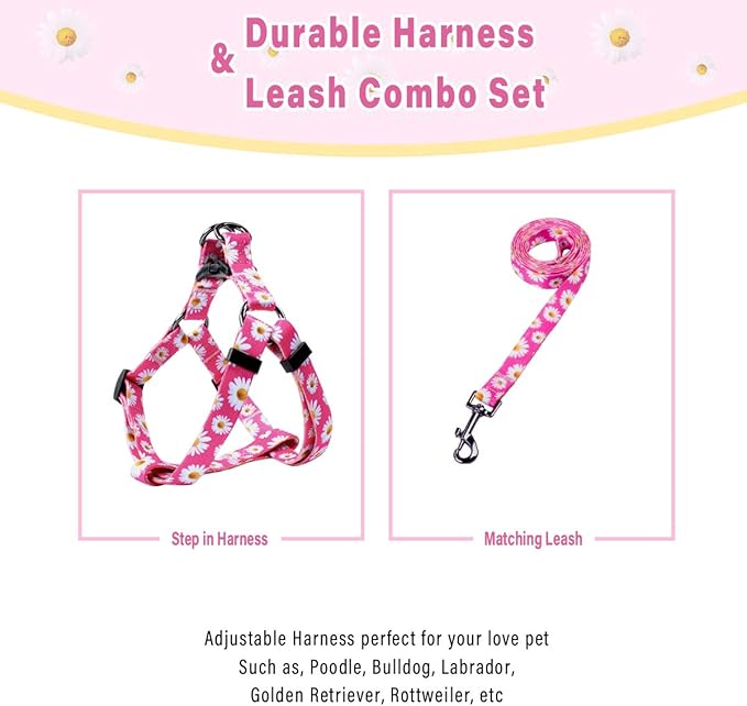 QQPETS Dog Harness Leash Set Adjustable Heavy Duty No Pull Halter Harnesses for Small Medium Large Breed Dogs Back Clip Anti-Twist Perfect for Walking (S(14"-20" Chest Girth), Daisy)