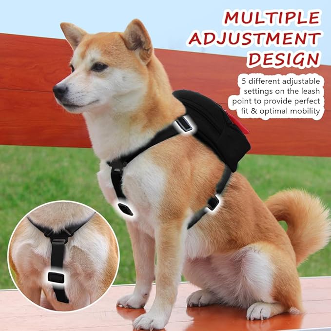 Dog Backpack for Small Dogs to Wear,Cute Pet Puppy Harness Backpacks with Leash Adjustable Dog Self Carrier Bag for Travel Hiking Daily Walking (S, Black)