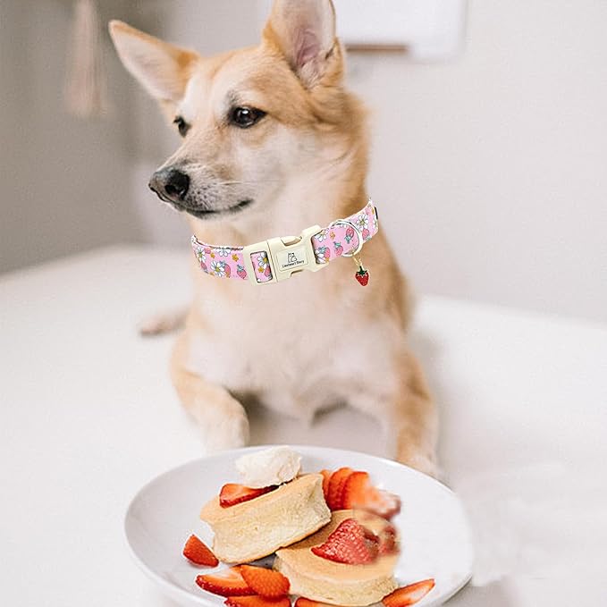 Lionheart glory Dog Collar Strawberries Print Pink Dog Collars Girl Spring Summer Cute Collar Pet Gift Durable Adjustable Dog Collar for Small Dogs