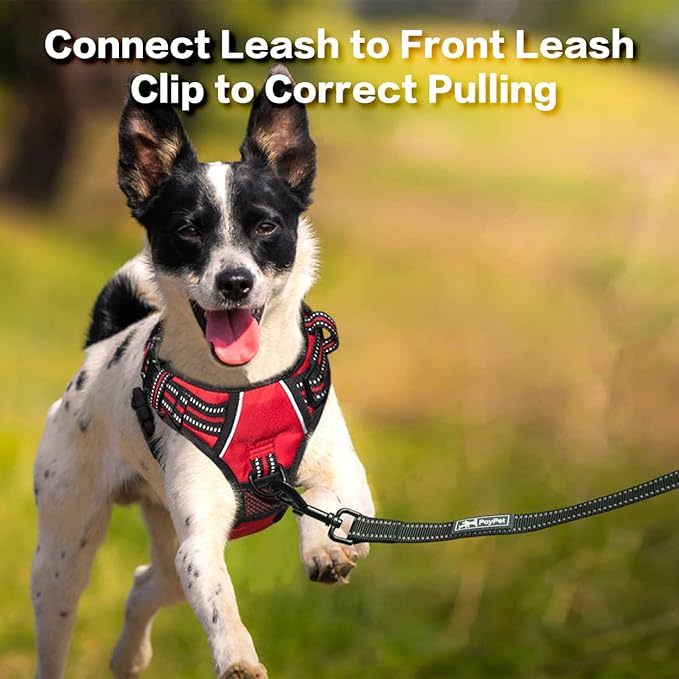 PoyPet No Pull Dog Harness, No Choke Front Clip Reflective Dog Vest with Soft Padded Vertical Handle, 3 Leash Attachments for Small Medium Large Dogs (Red,S)
