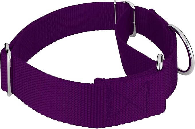 Country Brook Petz 1 1/2 Inch Martingale Heavy Duty Nylon Adjustable Dog Collar for Small, Medium, Large Breeds - Vibrant 17 Color Selection (Purple, Large)