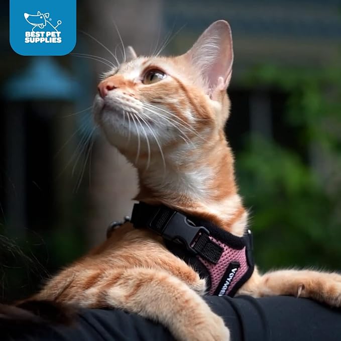 Voyager Step-in Lock Pet Harness - All Weather Mesh, Adjustable Step in Harness for Cats and Dogs by Best Pet Supplies - Army/Black Trim, XS