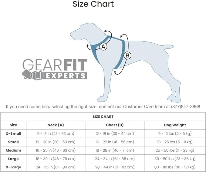 Kurgo Tru-Fit Smart Harness, Dog Harness, Pet Walking Harness, Quick Release Buckles, Front D-Ring for No Pull Training, Includes Dog Seat Belt Tether (Blue, Medium)