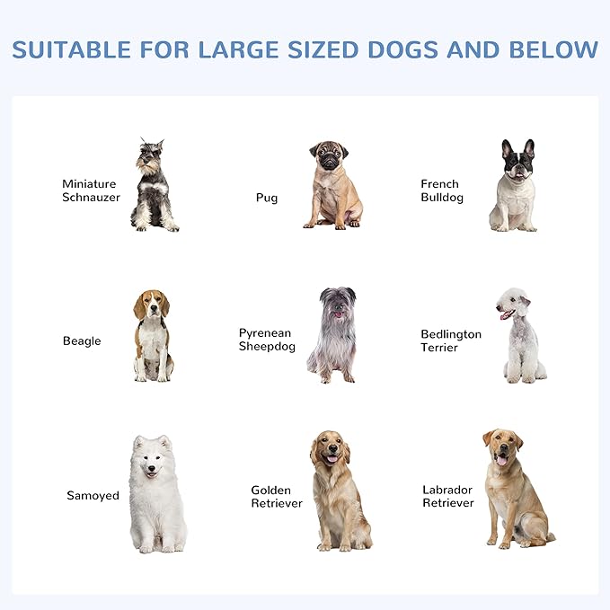 PawHut Large Dog Kennel Outside, Heavy Duty Dog Cage with Waterproof Cover, Outdoor Fence Dog Run with Galvanized Chain Link, Secure Lock, 9.8' x 9.8' x 7.7'