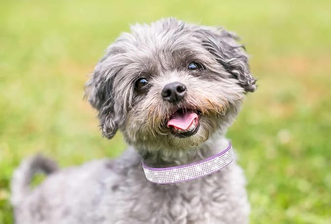 Bling Dog Collars for Small Dogs, XXS Dog Collar with Rhinestone Diamond Crystal Glitter Girls Dog Collars for Puppy XXS XS Small Dogs and Cats, Dark Pink, XXS