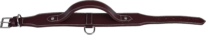 Leather Dog Collar with Handle, 2 Inch Wide Saddle Grade Cherry Leather Dog Collar for Medium Dogs | Heavy Duty, Comfortable, Inner Soft Padded | (M (Fit Neck Size 14.5"-18.5"), Cherry)