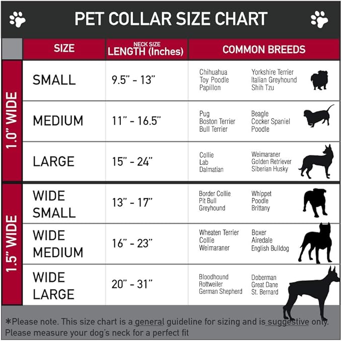 Cartoon Network Easy Adjustable Metal Seatbelt Buckle Quick Release Dog Collar, Adventure Time Marcelines Axe Bass Guitar Scattered Gray, 16 to 23 Inches 1.5 Inch Wide