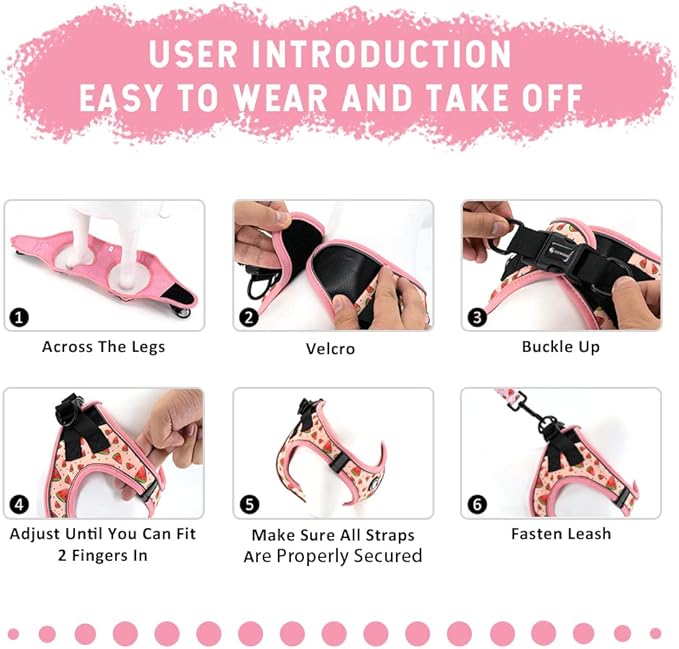 Step in Dog Harness and Leash Set, Reflective Dog Harness and Leash No Pull Dog Harness for Small Medium Large Dogs and Cats (XS(Neck:10-11.5",Chest:12.5-14.5"), RoseFlower)