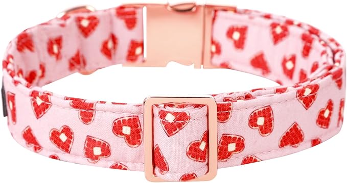 Lionet Paws Valentine Day Dog Collar, Heavy-Duty Cute Red Heart Pattern Collar with Metal Buckle Pet Necklace for Large Dog Gift, XLarge, Neck 16-26 inches