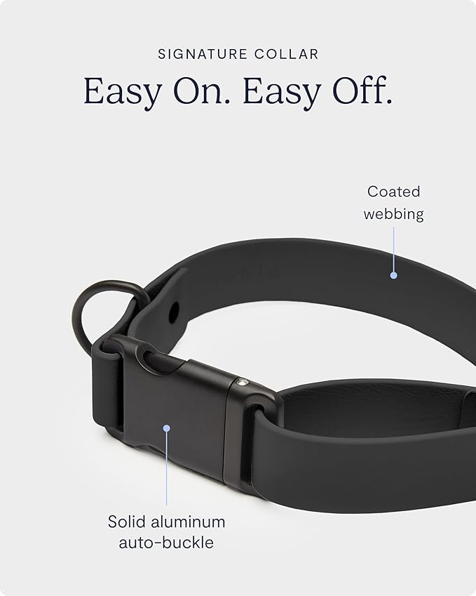 FABLE Signature Collar - Lightweight, Waterproof, & Durable Dog Collar - Coated Webbing Collar with Aluminum Buckle - Easy On/Off & Re-Sizing - Easy to Clean - Black - Extra Large