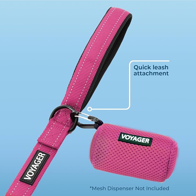 Voyager Reflective Dog Leash with Neoprene Handle, 5ft Long, Supports Small, Medium, and Large Breed Puppies, Cute and Heavy Duty for Walking, Running, and Training - Fuchsia (Leash), M