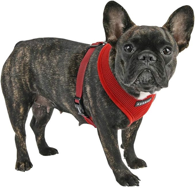 Puppia Soft Dog Harness, Wine, Large (PDCF-AC30-WN-L)