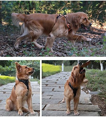 Truelove Soft Front Dog Harness .Reflective No Pull Harness with Handle and 2 Leash Attachments Grass Green