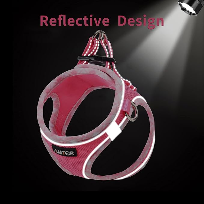 AMTOR Small Dog Harness with Leash Set, No Escape Easy Walk Puppy Harnesses for Training Walking, Step-in Reflective Soft Dogs Vest for XS S Medium Extra-Small Large Sized Dog(Fuchsia,M)