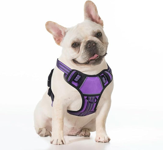 BUMBIN Dog Harness for Large Dogs, No Pull Adjustable No Choke Pet Vest with Dog Leash Fit Smart Reflective Pet Walking Harness for Training Easy Control Soft Handle Purple L