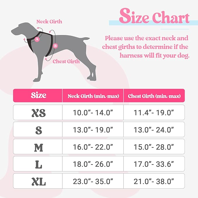 rabbitgoo Dog Harness, No-Pull Pet Harness with 2 Leash Clips, Adjustable Soft Padded Dog Vest, Reflective No-Choke Pet Oxford Vest with Easy Control Handle for Large Dogs, Pink & Blue, S