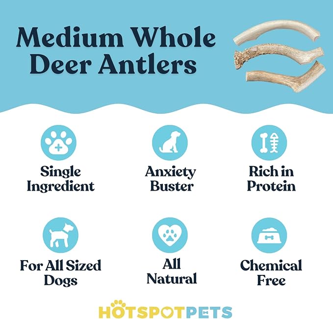 hotspot pets Premium Medium Whole Deer Antlers for Dogs - 5+ Inch Medium Sized Deer Antler Dog Chews - Naturally Shed for Small and Medium Breed Aggressive Chewers - Sourced in USA (Pack of 1)