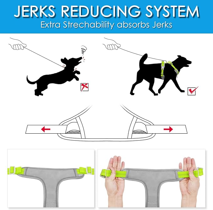 ThinkPet No Pull Harness Breathable Sport Vest with Handle-Dog Harnesses Reflective Adjustable for Medium Large Dogs