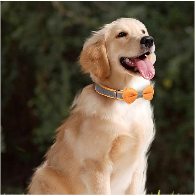 Dog Collar,Metal Buckle Pet Collar Suede Dog Collar Soft&Comfy Adjustable Pet Gift Collars with Bow for Small Medium Large Dogs (Medium, Gray&Yellow)