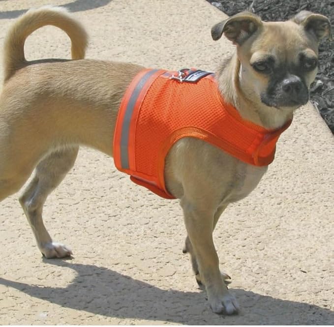Athletic Mesh Dog Harness for Teacup, Teacup 4 - Small Dogs and Puppies | Reflective Trim and Comfortable Velcro Closure