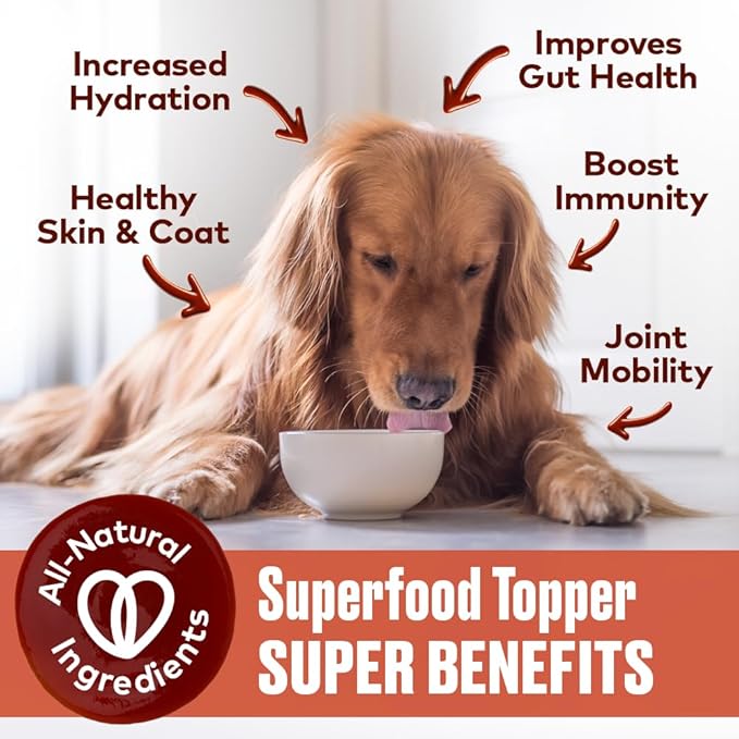 Beef Bone Broth for Dogs - Collagen Protein Supplement for Digestion, Mobility, Coat, Immune System, Healthy Dog Food Topper, Human Grade Meal Boost Gravy, Just Add Water, Made in USA 16 oz