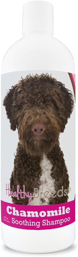 Healthy Breeds Lagotti Romagnoli Chamomile Soothing Dog Shampoo 8 oz