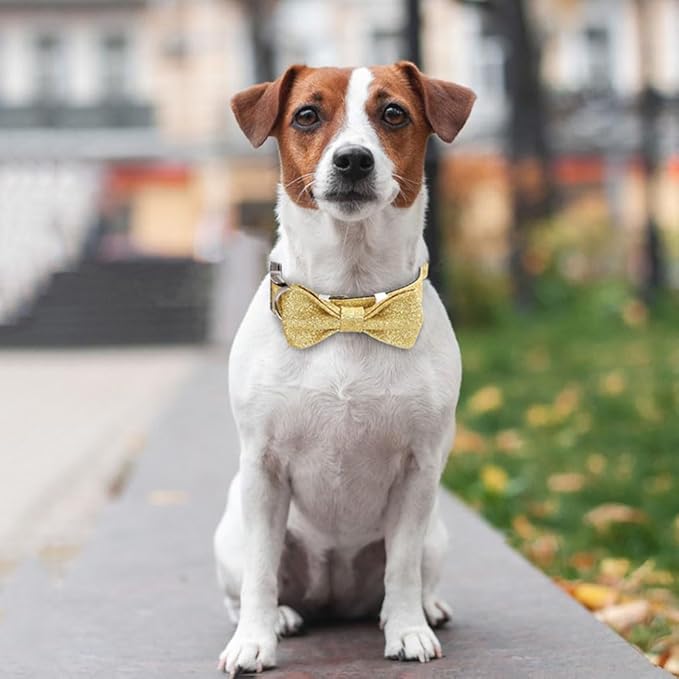 YSHOME&PET Bling Dog Collar with Bow Tie, Adjustable Bowtie Dog Collar with Metal Buckle D-Ring Soft Pet Collars for Cats Small Medium Large Boy or Girl Dogs Daily Walking or Holiday Party