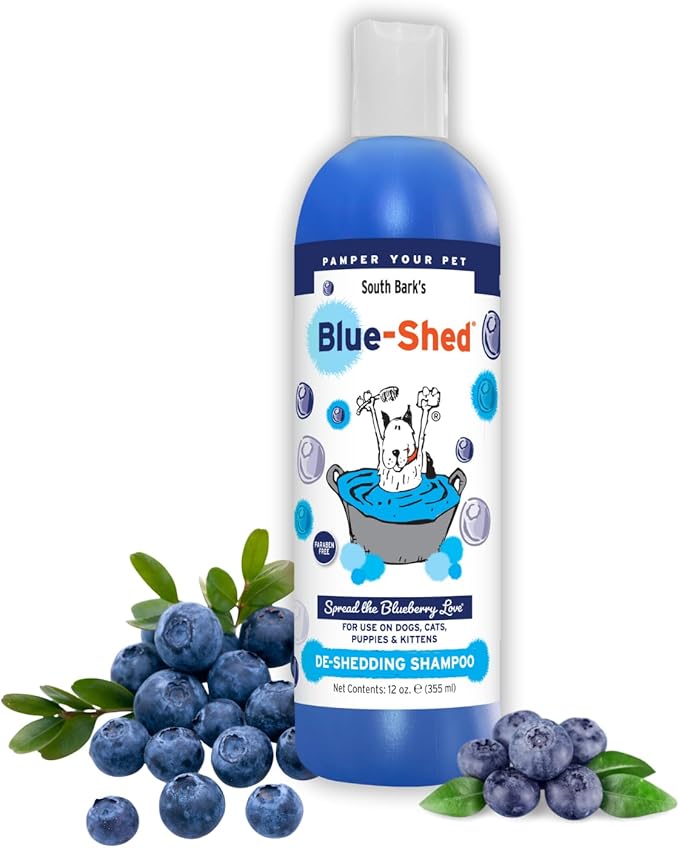 South Bark Blue-Shed® Shampoo for Dogs & Cats 12 oz. | Brightening | Deshedding | Long-Lasting, Fruity Scent | Cruelty-Free | Paraben-Free | Biodegradable and Non-Toxic | Made in USA