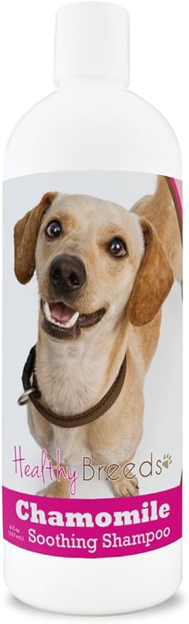 Healthy Breeds Chiweenie Chamomile Soothing Dog Shampoo 8 oz