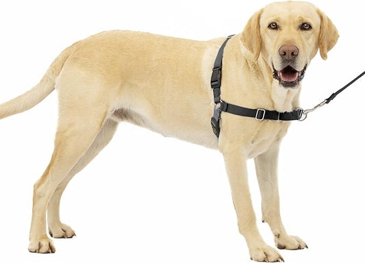 PetSafe Easy Walk No-Pull Dog Harness - The Ultimate Harness to Help Stop Pulling - Take Control & Teach Better Leash Manners - Helps Prevent Pets Pulling on Walks, Large, Charcoal/Black