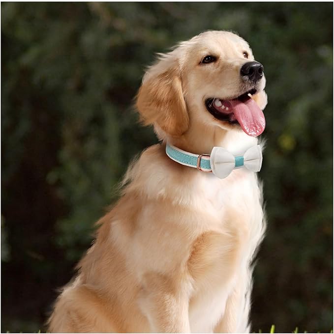 Dog Collar,Metal Buckle Pet Collar Suede Dog Collar Soft&Comfy Adjustable Pet Gift Collars with Bow for Small Medium Large Dogs (Medium, Blue&White)