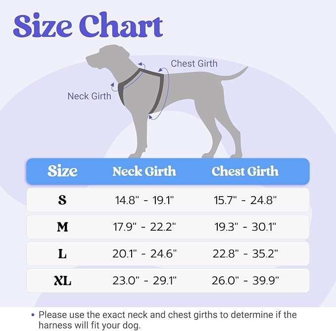 rabbitgoo Dog Harness Medium Sized, No Pull Pet Harness with Soft Padded Handle, Adjustable Reflective Vest with 3 Buckles, Easy Walking Harness with 2 Leash Clips, Light Blue, M