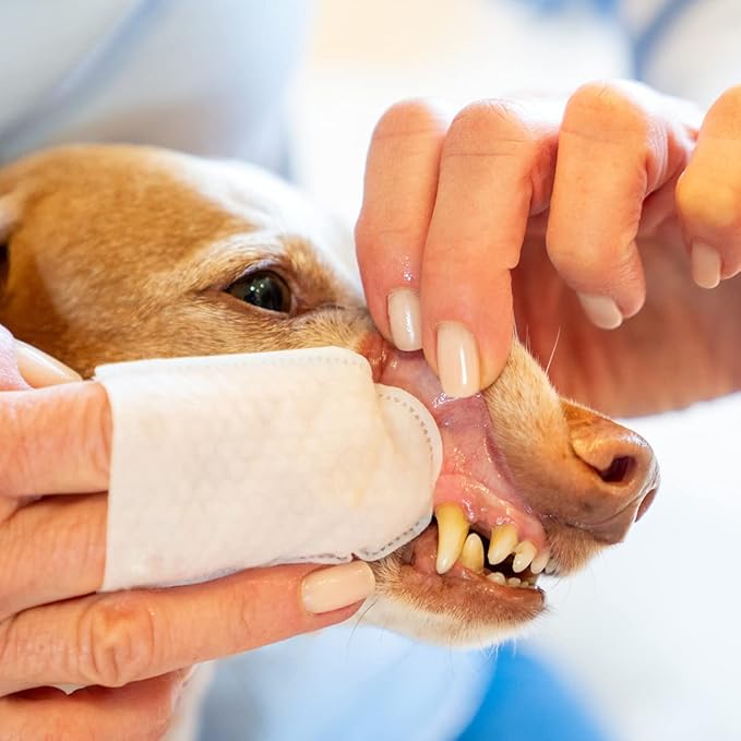 JAX & CALI All Natural Pet Toothbrush Wipes & Paw Protect, All-Natural Paw Protecting Balm for Dogs and Cats