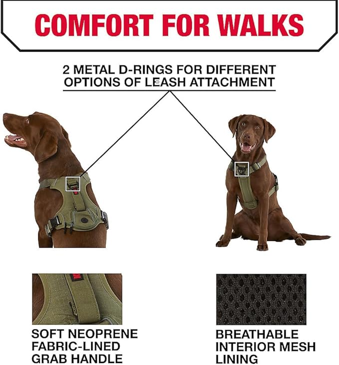 KONG Ultra Durable Waste Bag Harness (Medium, Green)