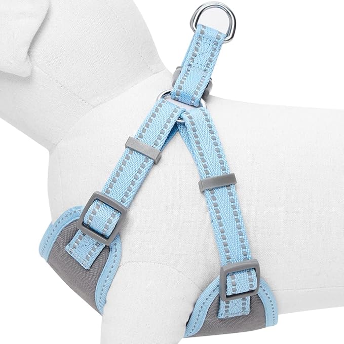 Blueberry Pet Essentials Pastel Color Reflective Dog Harness Vest, Chest Girth 17.5" - 21", Baby Blue, Small, Adjustable Harnesses for Dogs