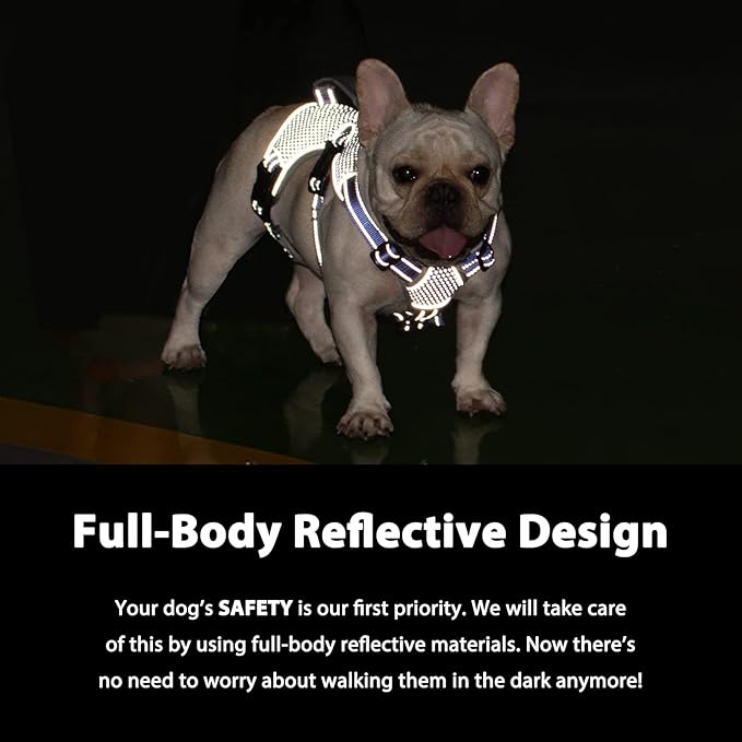 Escape Proof Dog Harness, Escape Artist Harness, Reflective Dog Harness with Handle, Durable,Adjustable Vest for Small Medium Large Dogs Walking, Training, and Running Gear(Technicolor Blue,L)